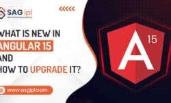 What is New In Angular 15  And How To Upgrade It?