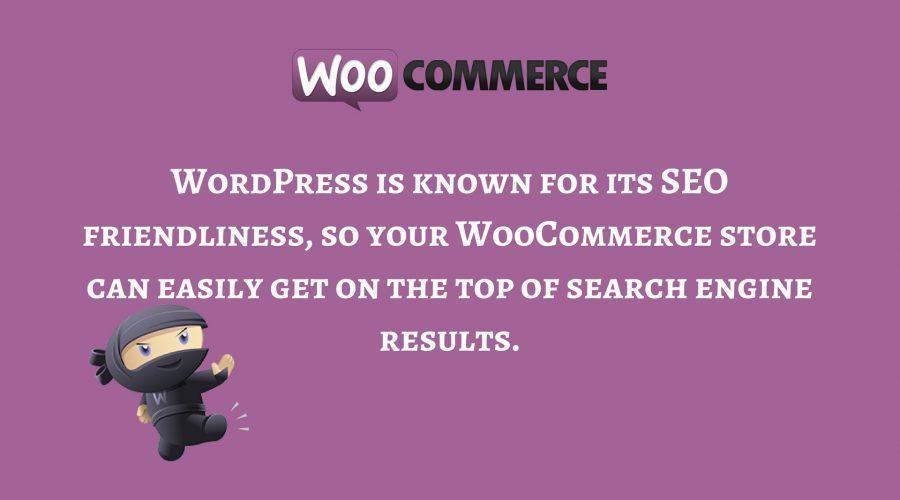 wooCommerce Advantages