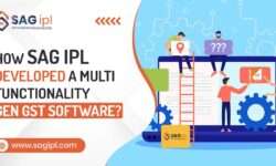 How SAG IPL Developed A Multi Functionality Gen GST Software