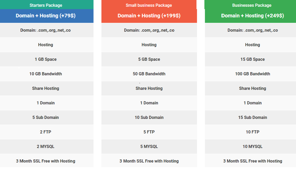 Domain & Hosting Cost