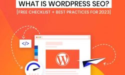 What is WordPress SEO? [Free Checklist + Best Practices For 2023]