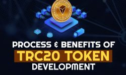 Process & Benefits of TRC20 Token Development for Your Company