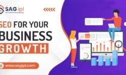 SEO Services for Business Growth Provided by SAG IPL [2023]