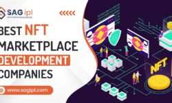 11 Best NFT Marketplace Development Companies [2023]