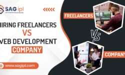 Hiring Freelancers Vs Web Development Company