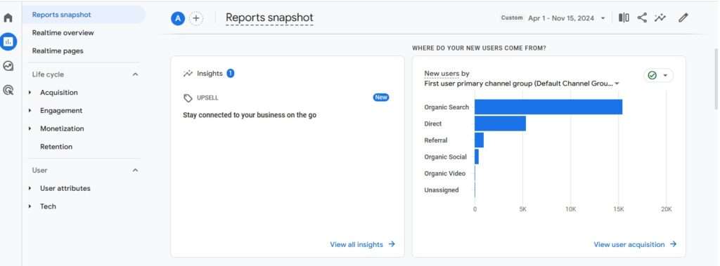 Google Analytics Report Snapshot 2