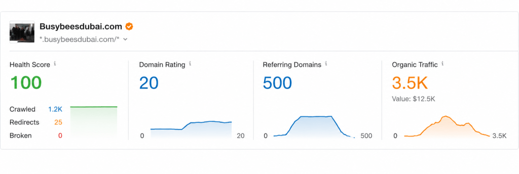 Busybees Cleaning Website Results After SEO Work